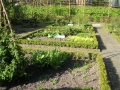 6-kruidentuin-te-delft-medicinaal-verfplanten-bestrijdingsmiddelen-gerubriceerd