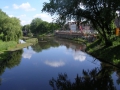 7-natuurontwikkeling-langs-de-dommel-in-den-bosch-juni-2009